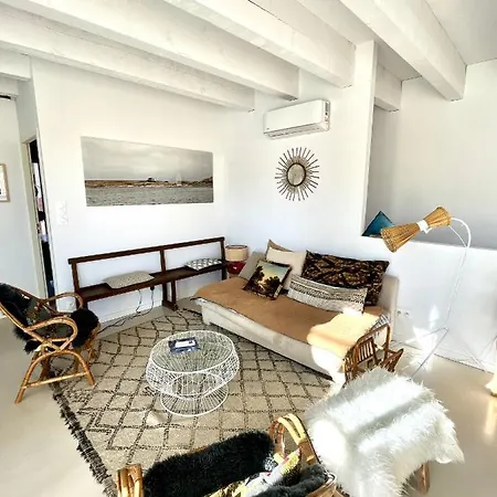 Nid Douillet Sur Roof