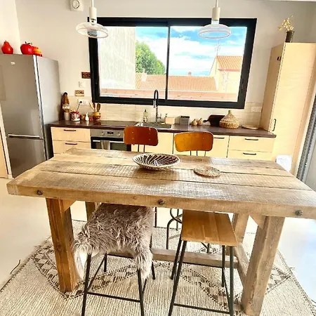 Nid Douillet Sur Roof * Perpignan