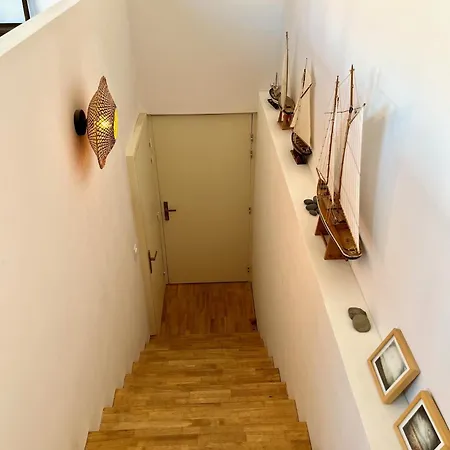 Nid Douillet Sur Roof *