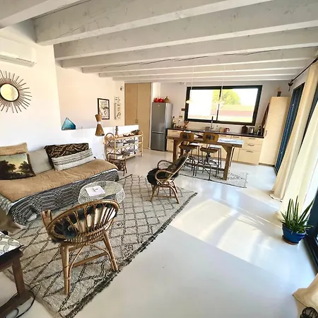 Nid Douillet Sur Roof Perpignan