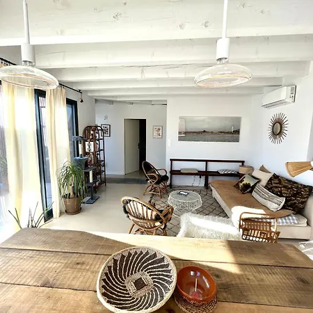 Nid Douillet Sur Roof