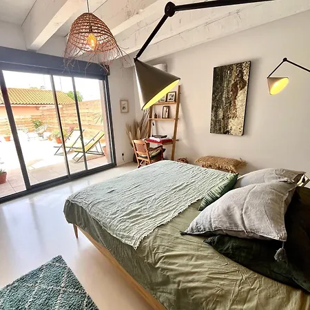 Nid Douillet Sur Roof Apartman Perpignan