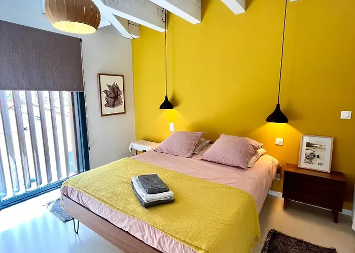 Apartment Nid Douillet Sur Roof Perpignan